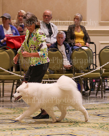 SCA2023_B BRED BY A-7695
