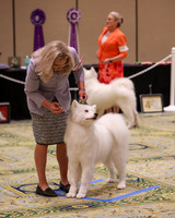 2023 B ADULT BRED BY