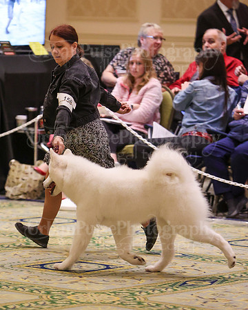 SCA2023_B BRED BY A-7864