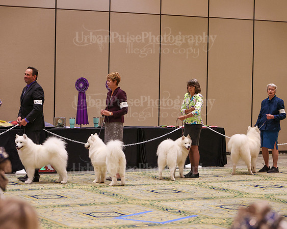 SCA2023_B BRED BY A-8110