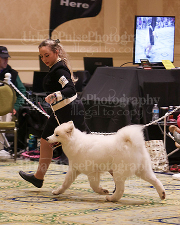 SCA2023_B OPEN-9038
