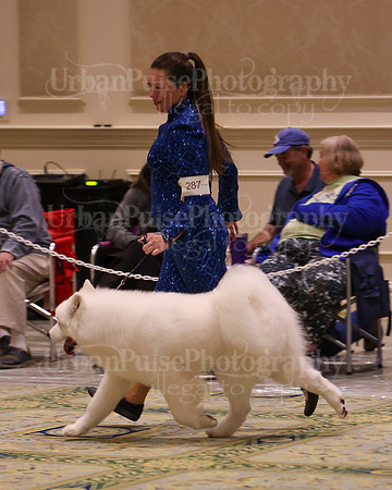 SCA2023_BOB GRP D3-0496