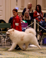 SCA2023_BOB GRP D3-0514