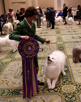 2023 SCA BEST OF BREED