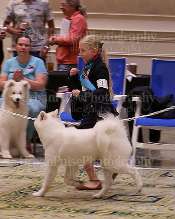 SCA2023_NOVICE JR-1673
