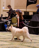 SCA2023_NOVICE JR-1664