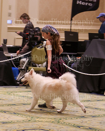 SCA2023_NOVICE JR-1664