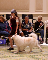 SCA2023_NOVICE JR-1706