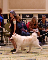 SCA2023_NOVICE JR-1707