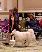 SCA2023_NOVICE JR-1708