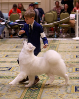 SCA2023_OPEN JR-1836