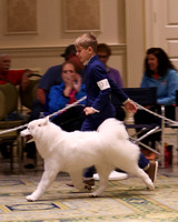 SCA2023_OPEN JR-1842