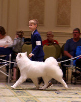 SCA2023_OPEN JR-1850