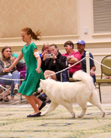 SCA2023_OPEN INTERMED JR-1861