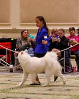 SCA2023_OPEN INTERMED JR-1857