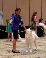 SCA2023_OPEN INTERMED JR-1878