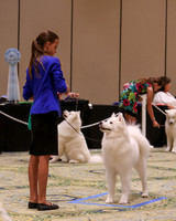 SCA2023_OPEN INTERMED JR-1880