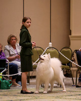 SCA2023_OPEN INTERMED JR-1872