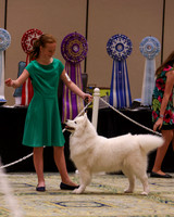SCA2023_OPEN INTERMED JR-1888