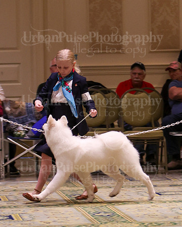 SCA2023_BEST JR-2026