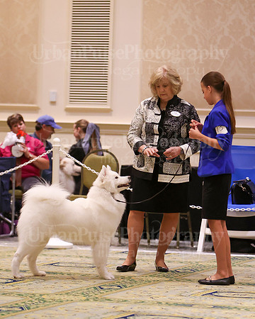 SCA2023_BEST JR-2031