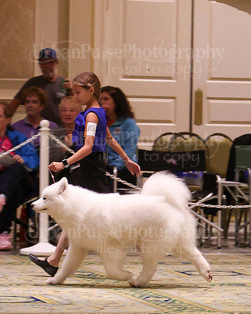 SCA2023_BEST JR-2052
