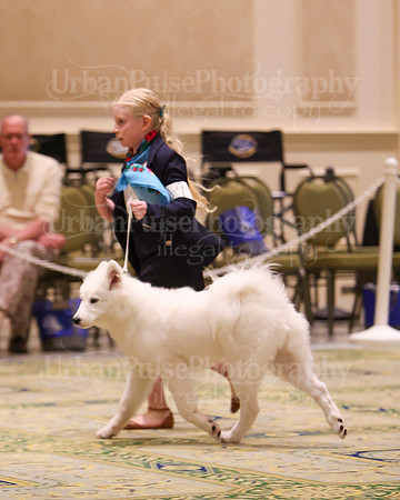 SCA2023_BEST JR-2059