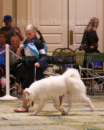 SCA2023_BEST JR-2061