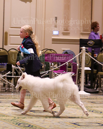 SCA2023_BEST JR-2080