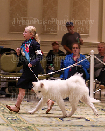 SCA2023_BEST JR-2082