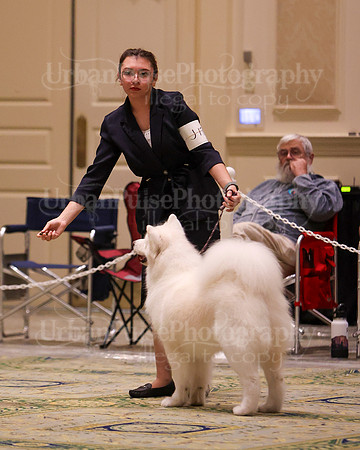 SCA2023_BEST JR-2086