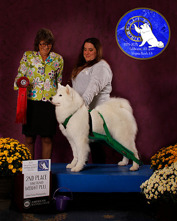 SCA2023_PERFORMANCE_AWARD_6268_40