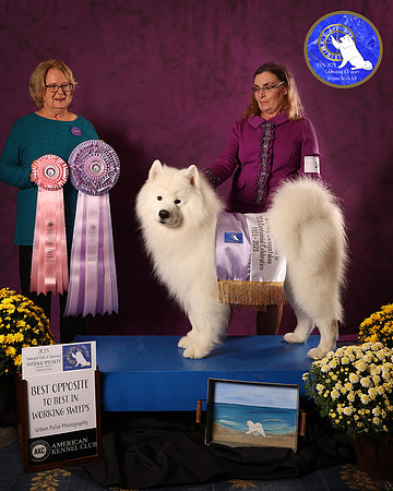 SCA2023WKSWPS_AWARD_9337_10
