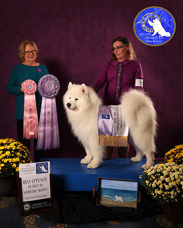 SCA2023WKSWPS_AWARD_9334_30