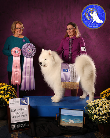SCA2023WKSWPS_AWARD_9339_20