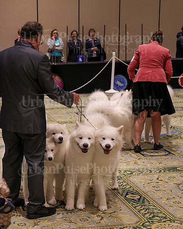 SCA2023_TEAM-4653
