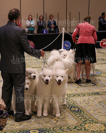 SCA2023_TEAM-4652