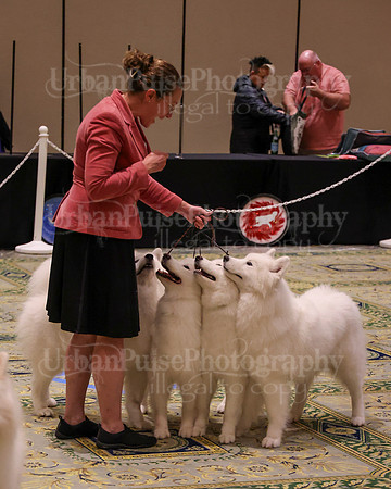 SCA2023_TEAM-4659