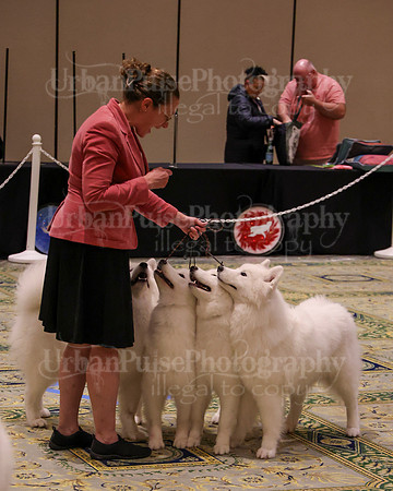 SCA2023_TEAM-4660