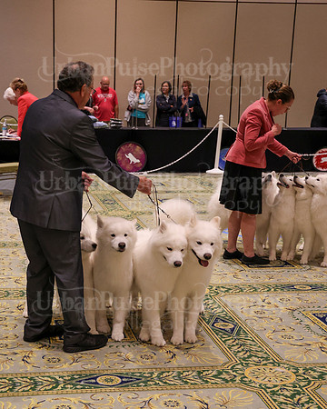 SCA2023_TEAM-4657