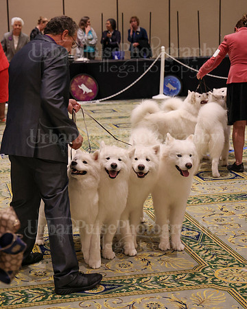 SCA2023_TEAM-4666