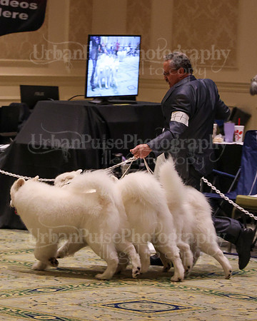 SCA2023_TEAM-4670