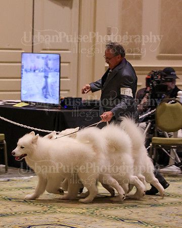 SCA2023_TEAM-4672