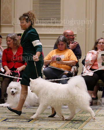 SCA2023_B WORKING-5891