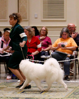 SCA2023_B WORKING-5892