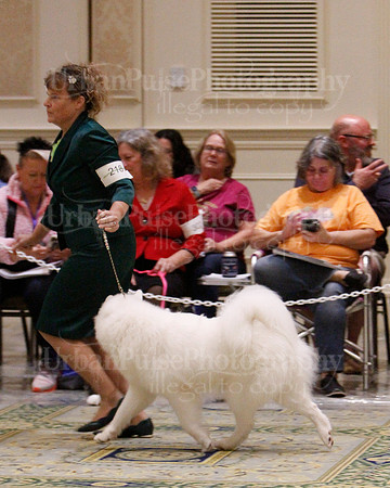 SCA2023_B WORKING-5892