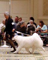 SCA2023_B WORKING-5901