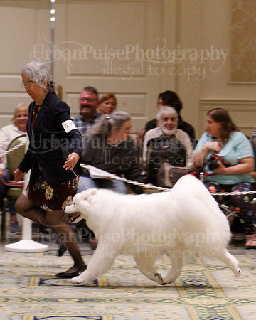 SCA2023_B WORKING-5901