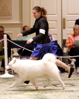 SCA2023_B WORKING-5904