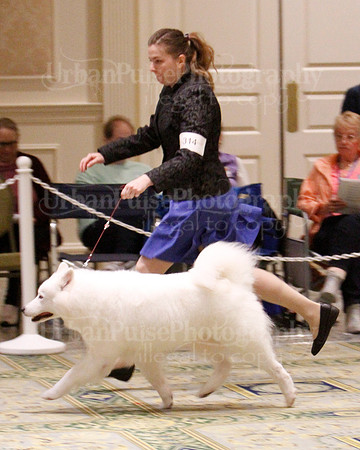 SCA2023_B WORKING-5904